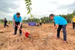 Lãnh đạo tỉnh và các tổ chức, cá nhân ra quân trồng 'Vườn cây đại đoàn kết' tại phường Tương Bình Hiệp, thành phố Thủ Dầu Một, tỉnh Bình Dương. (Ảnh: Dương Chí Tưởng/TTXVN)