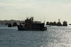 Ảnh minh họa. (Nguồn: TTXVN)