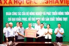 Đoàn công tác của Bộ Nông nghiệp và Phát triển Nông thôn trao hỗ trợ 1,22 tấn hạt giống rau cho tỉnh Bắc Giang. (Ảnh: Đồng Thúy/TTXVN)