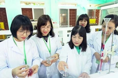 (Ảnh minh họa: TTXVN)