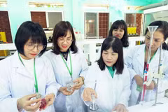 (Ảnh minh họa: TTXVN)