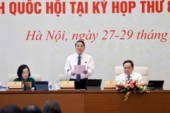 Phó Chủ tịch Quốc hội Nguyễn Đức Hải điều hành phiên họp. (Ảnh: Doãn Tấn/TTXVN)