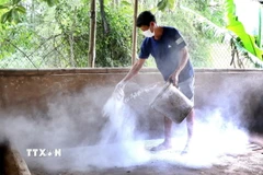 Ảnh minh họa. (Nguồn: TTXVN)