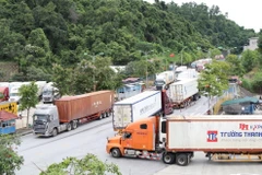Hoạt động xuất nhập khẩu sôi động tại Cửa khẩu Quốc tế Hữu Nghị, tỉnh Lạng Sơn. (Ảnh: Quang Duy/TTXVN)