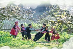 Những điểm đến ngắm hoa dịp Xuân về ở các tỉnh miền Bắc.