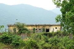 Cây dại, cỏ hoang mọc đầy trong khu Trung tâm giáo dục-dạy nghề 05-06 cũ. (Ảnh: Quốc Dũng/TTXVN)