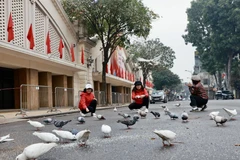 Khoảnh khắc bình yên trước cổng chợ Đồng Xuân ngày đầu năm mới Giáp Thìn. (Ảnh: Nhật Anh/TTXVN)