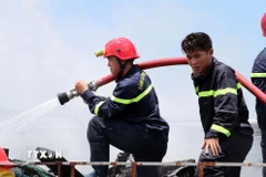 Ảnh minh họa.(Nguồn: TTXVN)