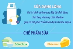 Ngày Sữa Thế giới: Vai trò của sữa và chế phẩm sữa trong chế độ ăn.
