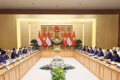 Thủ tướng Phạm Minh Chính hội kiến Tổng thống Indonesia Joko Widodo. (Ảnh: Dương Giang/TTXVN)