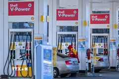 Ảnh minh họa.(Nguồn: TTXVN)