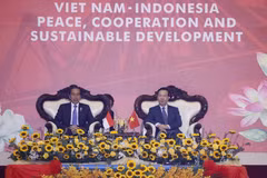 Chủ tịch nước Võ Văn Thưởng và Tổng thống Indonesia Joko Widodo dự chương trình biểu diễn võ thuật. (Ảnh: Thống Nhất/TTXVN)