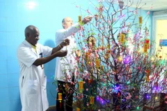 Bệnh viện Hữu nghị Việt Nam-Cuba Đồng Hới không chỉ là địa chỉ khám chữa bệnh, chăm sóc sức khỏe chất lượng, tin cậy của người dân địa phương mà còn là nơi vun đắp của tình đoàn kết, hữu nghị đặc biệt giữa hai nước Việt Nam-Cuba. (Ảnh: TTXVN)