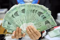 (Ảnh: AFP/TTXVN)