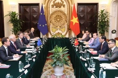 Bộ trưởng Ngoại giao Bùi Thanh Sơn hội đàm với Phó Chủ tịch Ủy ban châu Âu (EC), Đại diện cấp cao Liên minh châu Âu (EU) về Chính sách đối ngoại và an ninh Josep Borrell Fontelles. (Ảnh: An Đăng/TTXVN)
