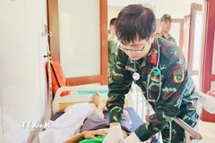 Ảnh minh họa. (Nguồn: TTXVN)