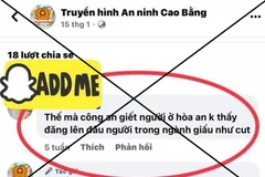 B.Đ.P thừa nhận hành vi sử dụng tài khoản Facebook cá nhân đăng tải bình luận chưa được kiểm chứng, sai sự thật. (Ảnh: TTXVN phát)