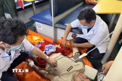 (Ảnh minh họa: TTXVN)