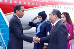 Chủ nhiệm Văn phòng Chủ tịch nước Lê Khánh Hải đón Tổng thống Indonesia Joko Widodo tại sân bay quốc tế Nội. (Ảnh: An Đăng/TTXVN)