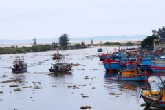 Tàu cá công suất nhỏ vào neo trú do cửa sông bị bồi lấp. (Ảnh: Đinh Hương/TTXVN)