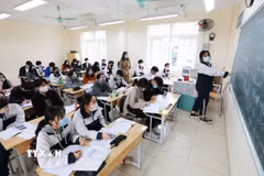 Ảnh minh họa. (Nguồn: TTXVN)