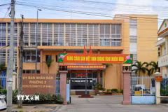 Ảnh minh họa. (Nguồn: TTXVN)