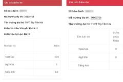 Điểm số của một thí sinh trước (bên trái) và sau (bên phải) khi phúc khảo. (Ảnh: TTXVN phát)