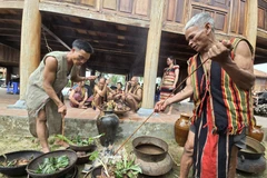 Thầy cúng và già làng người Brâu làm lễ cúng Trỉa lúa. (Ảnh: Khoa Chương/TTXVN)