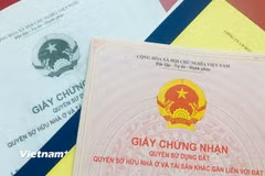 Ảnh minh họa. (Nguồn: Vietnam+)