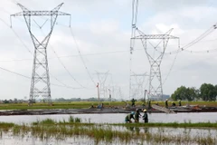 Đường dây 500kV Bắc-Nam mạch 1 vẫn giữ vai trò quan trọng và phát huy hiệu quả kinh tế trong hệ thống điện quốc gia. (Ảnh: Ngọc Hà/TTXVN)
