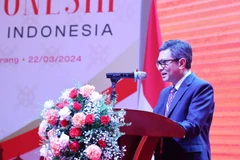 Đại sứ Indonesia tại Việt Nam Denny Abdi phát biểu tại hội nghị. (Ảnh: Tiên Minh/TTXVN)