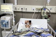 Ảnh minh họa. (Nguồn: TTXVN)