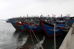 Tàu thuyền neo đậu tránh bão. (Ảnh minh họa: Quốc Việt/TTXVN)