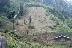 Ảnh chỉ có tính chất minh họa. (Nguồn ảnh: Hùng Võ/Vietnam+)