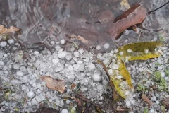 Ảnh chỉ có tính chất minh họa. (Nguồn: TTXVN) 