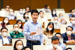 Đại biểu Quốc hội tỉnh Thanh Hóa Lê Thanh Hoàn phát biểu ý kiến. (Ảnh: Doãn Tấn/TTXVN)