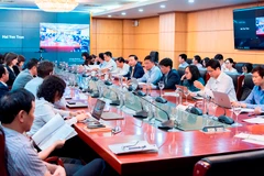 Bộ trưởng Bộ Tài nguyên và Môi trường làm việc với Đoàn công tác của Ngân hàng Thế giới về việc dự án VILG. (Ảnh: TV/Vietnam+)