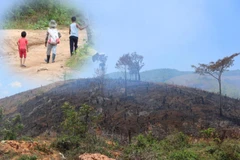 Theo thống kê, cả nước còn trên 300.000 hộ thiếu đất sản xuất. (Nguồn ảnh: Hùng Võ/Vietnam+)