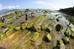 Ảnh minh họa. (Nguồn: TTXVN)