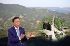 Bộ trưởng Trần Hồng Hà: Đưa đất đai nông lâm trường vào khuôn khổ 