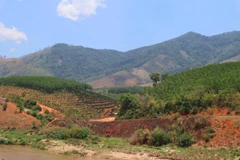 Ảnh chỉ có tính chất minh họa. (Nguồn ảnh: Hùng Võ/Vietnam+)