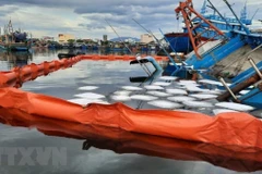 Xử lý sự cố tràn dầu sau khi một tàu cá bị chìm Cảng cá Thọ Quang, thành phố Đà Nẵng. (Ảnh: TTXVN phát)