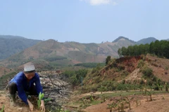 Ảnh chỉ có tính chất minh họa. (Nguồn: Hùng Võ/Vietnam+)