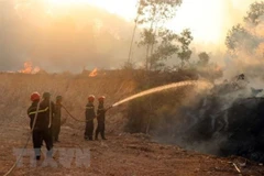 Ảnh chỉ có tính chất minh họa. (Nguồn: TTXVN) 