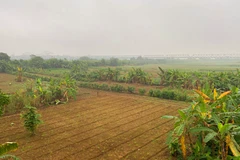 Quy hoạch phân khu đô thị sông Hồng trải dài khoảng 40km. (Ảnh: Hùng Nguyễn/Vietnam+)