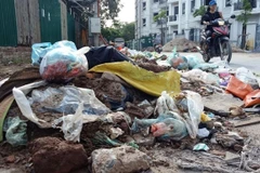 Ảnh minh họa. (Nguồn: TTXVN)