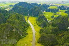 Ảnh minh họa. (Nguồn: Minh Đức/TTXVN)