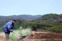 Ảnh minh họa. (Nguồn ảnh: Hùng Võ/Vietnam+)