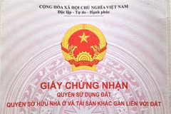 Ảnh minh họa. (Nguồn: Hùng Võ/Vietnam+)
