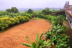 Ảnh minh họa. (Nguồn ảnh: Hùng Nguyễn/Vietnam+)